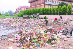 Heaps of garbage near the LIC office at Dugri.