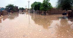 Ghaggar river water enters village Bani neighbouring Tibbi segment in Hanumangarh region on Sunday