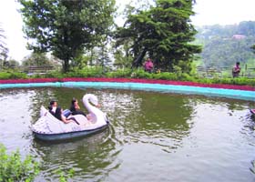 Tourists enjoy boating in a lake at the park