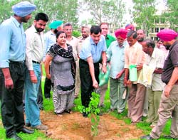 Police Commissioner Ishwar Singh plants a sapling at SCD Government College in Ludhiana on Sunday