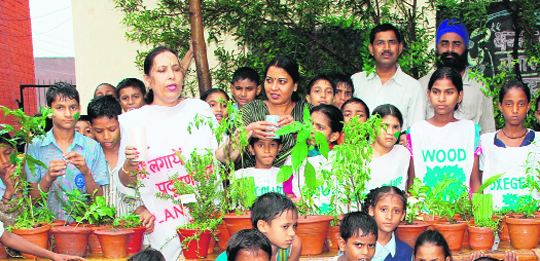 Teachers of Government Primary School, Burail, tell students the importance of trees during a plantation drive in Chandigarh