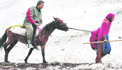 Sheena ferrying a pilgrim to Amarnath