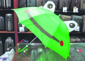 Green umbrella with ears: Rs 150