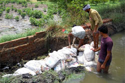 Affected farmers try to plug the breach in the drain at Abohar on Wednesday.