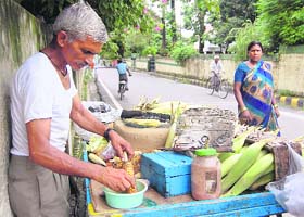 A roadside vendor applies lemon and salt on a roasted corn in Dehradun on Thursday.