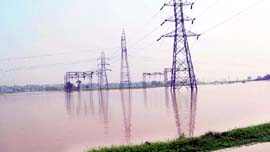 Long stretches of agriculture land submerged in water in Fatehabad district.