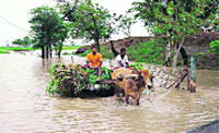 A farmer takes his cart through water in Ranian village, near Ajnala, after heavy rain