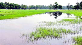 The waterlogged Pantdeep area where Kanwar fair will be hosted from July 26.