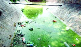 A dirty corner of the Deer Park near Hauz Khas Village in south Delhi
