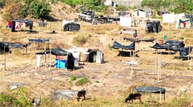Encroachments on the DMC land at Brahmawala in Dehradun.