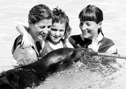 A sea lion named Neron is part of an animal-assisted therapy for patients with a neurobehavioral developmental disorder at the Rio Safari Park in Spain