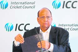 ICC chief Sharad Pawar