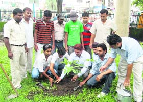 Youth Congress workers plant saplings in Dehradun