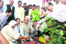Chief Minister Prem Kumar Dhumal planting a sapling on the occasion of Van Mahotsav at Bankhandi in Kangra district on Monday. 