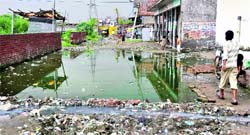 Unhygienic conditions provide the right atmosphere for mosquitoes to breed
