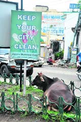 It seems that the Jammu Municipal Corporation is shying away from its reponsibility of ensuring cleanliness even as it urges residents to keep the city clean