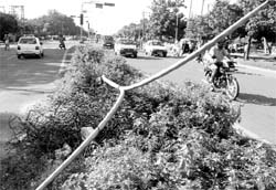 Damaged streetlight poles at Sector 15