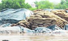 Bags of wheat submerged in flood waters in Bani village