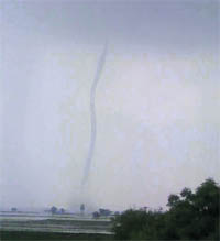 A view of the tornado that hit Ahlisadar village in Fatehabad last week.