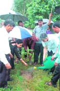 Resident doctors of the PGI plant a sapling on Sunday.