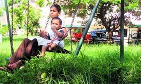 There is no place for children to play or residents to walk due to the poor maintenance of parks in Sector 40-C, Chandigarh.