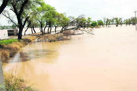 A view of the agricultural land inundated by floods near Ther Faqiranwali in Sirsa.