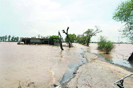 A view of flooded agricultural land in Sirsa.
