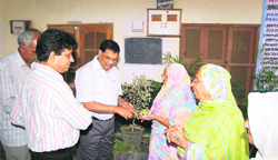 District and Sessions Judge Dr Shiva Sharma distributes fruits among inmates of the Senior Citizens Home in Sirsa.