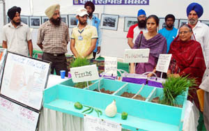 Dr Inderjit Kaur, President, All-India Pingalwara Charitable Society, checks a stall of organic vegetables, manure and crops during an exhibition held to observe the death anniversary of societys founder Bhagat Puran Singh in Amritsar.