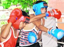 Boxers battle it out during the Inter-School Boxing Tournament at SD Public School in Sector 32, Chandigarh, on Tuesday