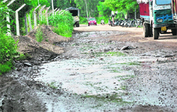 With the onset of the monsoon season, stagnant water in low-lying areas of Jammu is breeding mosquitoes.