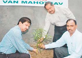 Officials plant saplings