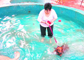 A dog makes a perfect splash