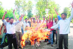 BEd-trained unemployed teachers burn an effigy of the Uttarakhand Education Minister in Dehradun on Saturday. 
