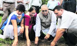 Assembly Speaker Harbans Kapoor plants a sapling at Vasant Vihar, Dehradun, on Sunday.                       