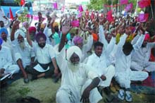 Rural labourers under the banner of Punjab Khet Mazdoor Sabha, affiliated to the CPI, stage dharna at the Mini-secretariat in Bathinda on Monday. 
