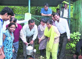 Participants at a tree plantation drive by the Botany Department of Kumaon University at the DSB Campus in Nainital