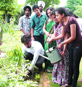 Students of Apeejay College of Fine Arts plant saplings in Jalandhar