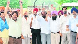 Members of the PSEB Employees Joint Forum stage a protest in Patiala on Wednesday.