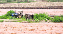Three persons along with a tractor-trailer stranded in the Tawi river in Jammu on Thursday. 