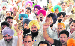 PAU teaching, non-teaching and Class IV employees stage a dharna outside the universitys Thapar Hall 