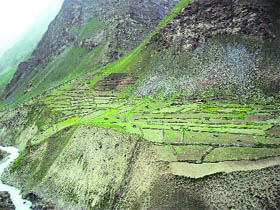 A view of the pasture land in upper reaches of Darcha in the Bhaga valley opposite to the Keylong-Baralacha part of the national highway in Lahaul.