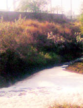 Polluted water being pumped by the Trident group into the seasonal stream in the Dhaula area of Barnala