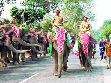 The Tourism Department organises an elephant festival in December-January