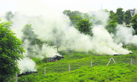 In the absence of any check, residents of Karnal have to suffer as burning of leaves has become a common practice here. 