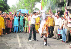 Teachers burn effigy of the Punjab government in Fatehgarh Sahib on Tuesday. 