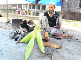 An old man selling corn awaits customers in Srinagar.