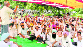 Technical Services Union state president Gurdial Singh Bhangal addresses a rally after a dharna at the central zone office of the PSPSC in Ludhiana on Thursday.