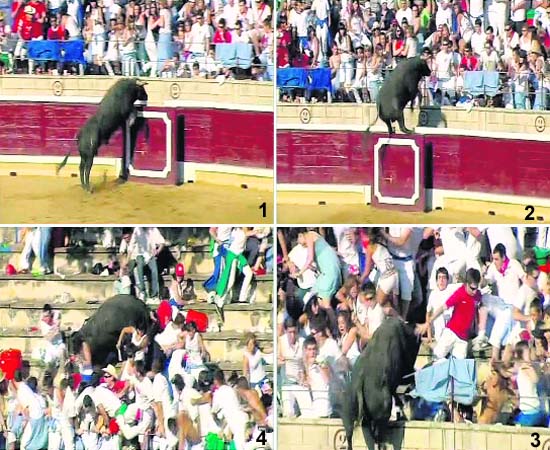 A bull charges towards spectators at a bullring in northern Spain (1), takes a leap out of the arena (2), enters the spectators gallery (3) and mauls terrified persons (4). Around 30 persons were injured in the incident
