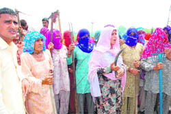 Women, armed with lathis and sharp-edged farm tools, at Gorakhpur village in Fatehabad on Saturday